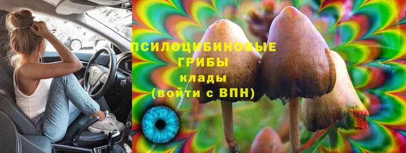 Галлюциногенные грибы Magic Shrooms  закладки  Салехард 